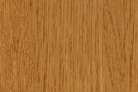 Iroko